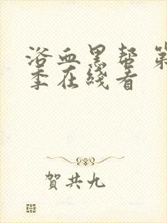 浴血黑帮 第六季在线看