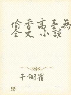 偷香高手无删减全文 小说