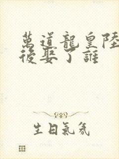 万道龙皇陆鸣最后娶了谁