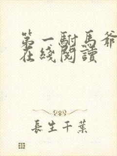 第一驸马爷小说在线阅读封面