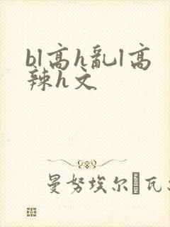 bl高h乱l高辣h文
