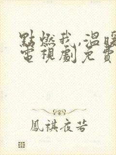 点燃我,温暖你电视剧免费