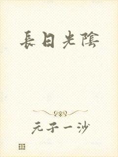 长日光阴封面