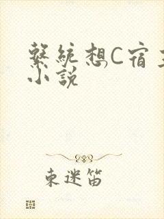 系统想C宿主的小说