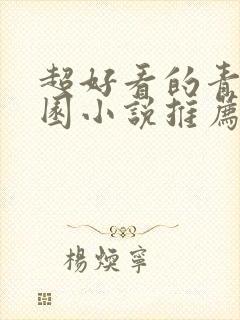 超好看的青春校园小说推荐封面