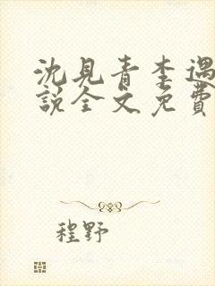 沈见青李遇泽小说全文免费阅读