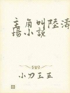 主角叫陆涛的官场小说封面