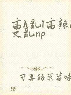 高h乱l高辣h文乱np