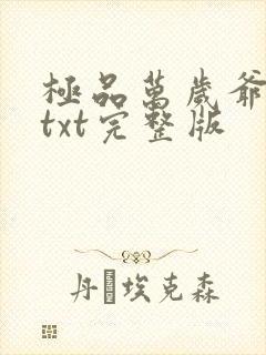 极品万岁爷下载txt完整版封面