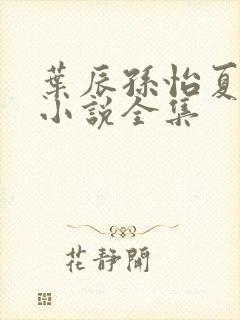 叶辰孙怡夏若雪小说全集