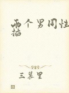 两个男同性恋互插