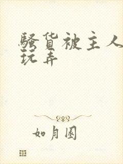 骚货被主人调教玩弄封面