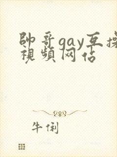 帅哥gay互操视频网站
