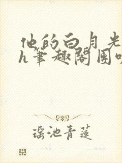 他的白月光hvh笔趣阁团叽叽封面