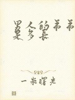 男人的弟弟正常是多长