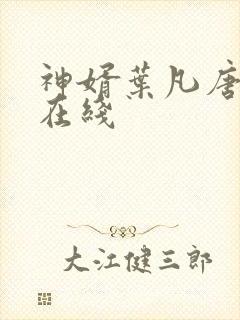 神婿叶凡唐若雪在线封面