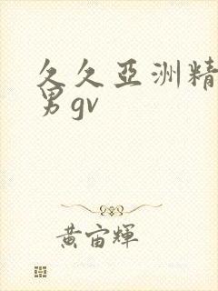 久久亚洲精品男男gv封面