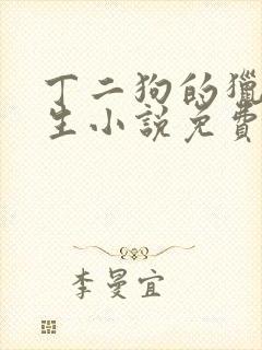 丁二狗的猎艳人生小说免费全文下载