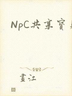 NpC共享宝贝封面