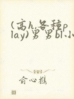 (高h,各种play)男男bl小说