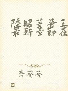 陆昭菱晋王小说最新章节在线阅读