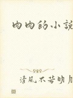 肉肉的小说