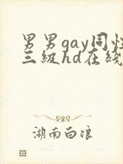 男男gay同性三级hd在线