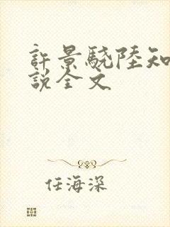 许景骁陆知晚小说全文