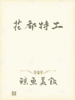 花都特工封面