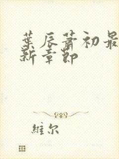 叶辰萧初最新更新章节