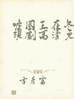 嘘国王在冬眠电视剧高清免费播放