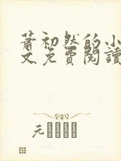 萧初然的小说全文免费阅读封面