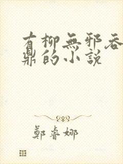 有柳无邪吞天神鼎的小说