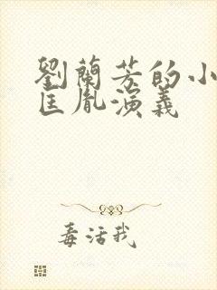 刘兰芳的小说赵匡胤演义