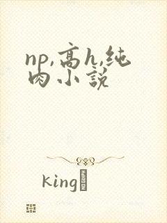 np,高h,纯肉小说