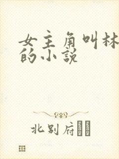 女主角叫林星澜的小说