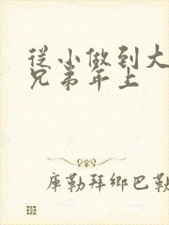 从小做到大骨科兄弟年上