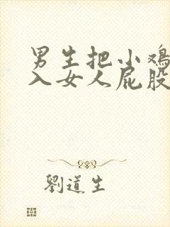 男生把小鸡鸡插入女人屁股里视频