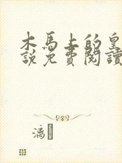 木马上的皇上小说免费阅读笔趣阁封面