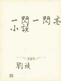 一闪一闪亮星星小说