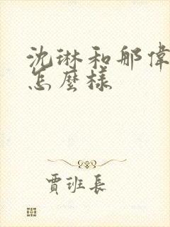 沈琳和那伟结局怎么样封面