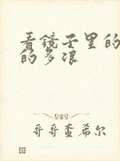 看镜子里的你叫的多浪