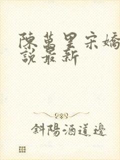 陈万里宋娇娇小说最新封面