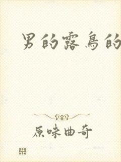 男的露鸟的电影