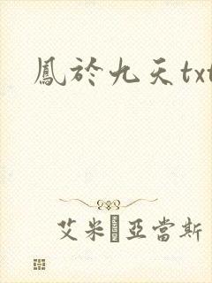 凤于九天txt封面