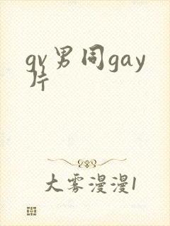 gv男同gay片