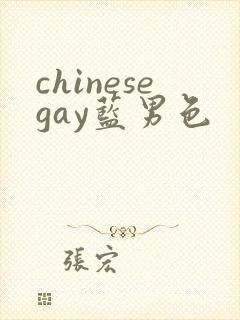 chinesegay蓝男色封面