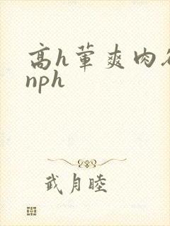 高h荤爽肉欲文nph封面
