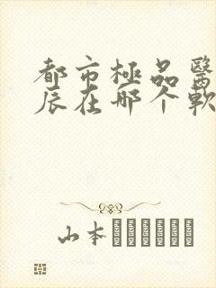 都市极品医神叶辰在哪个软件可以看