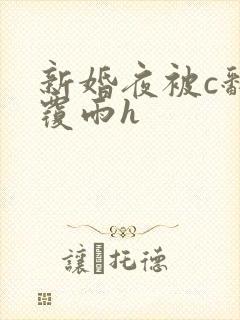 新婚夜被c翻云覆雨h封面